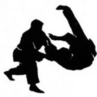 Hapkido em Jacarepaguá